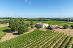 Immobilier Pellegrue 12 Maison d'artiste à Pellegrue photographiée par Jean-Luc Renouil, photographe immobilier et pilote de drone en Dordogne.