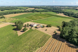 Immobilier Pellegrue 4 Maison d'artiste à Pellegrue photographiée par Jean-Luc Renouil, photographe immobilier et pilote de drone en Dordogne.