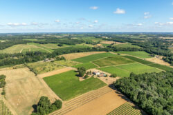 Immobilier Pellegrue 2 Maison d'artiste à Pellegrue photographiée par Jean-Luc Renouil, photographe immobilier et pilote de drone en Dordogne.