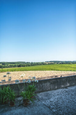 Immobilier Pellegrue 34 Maison d'artiste à Pellegrue photographiée par Jean-Luc Renouil, photographe immobilier et pilote de drone en Dordogne.