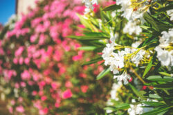 Le petit plus 2.0 39 | Photographe immobilier