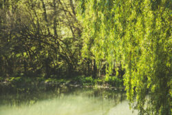 Le petit plus 2.0 18 | Photographe immobilier