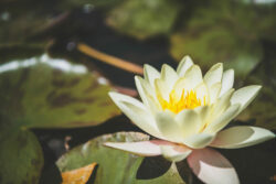 Le petit plus 2.0 15 | Photographe immobilier