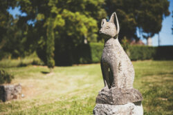 Le petit plus 2.0 9 | Photographe immobilier