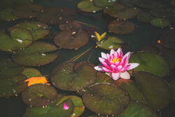 Le petit plus 2.0 8 | Photographe immobilier