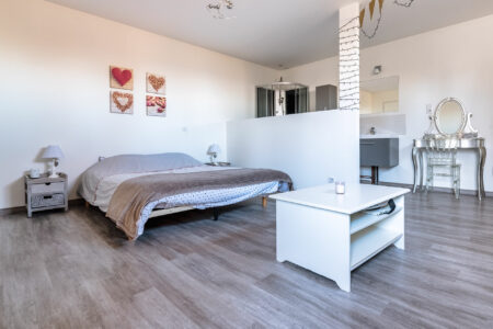 Immobilier Montignac 20 Magnifique villa surplombant Montignac Lascaux photographiée par Jean-Luc Renouil photographe immobilier et pilote de drone en Dordogne.