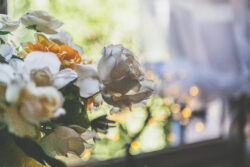 Le petit plus 2.0 4 | Photographe immobilier