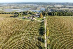 Château Picon à Eynesse photographié par Jean-Luc Renouil, photographe et pilote de drone en Dordogne.