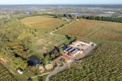 Château Picon à Eynesse photographié par Jean-Luc Renouil, photographe et pilote de drone en Dordogne.