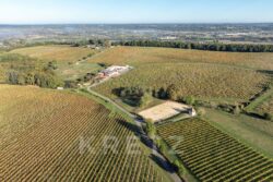 Château Picon à Eynesse photographié par Jean-Luc Renouil, photographe et pilote de drone en Dordogne.