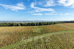 Château Picon à Eynesse photographié par Jean-Luc Renouil, photographe et pilote de drone en Dordogne.