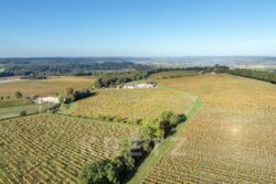 Château Picon à Eynesse photographié par Jean-Luc Renouil, photographe et pilote de drone en Dordogne.