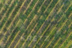 Château Picon à Eynesse photographié par Jean-Luc Renouil, photographe et pilote de drone en Dordogne.
