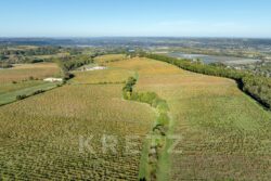 Château Picon à Eynesse photographié par Jean-Luc Renouil, photographe et pilote de drone en Dordogne.
