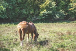 1597236896 | Photographe immobilier